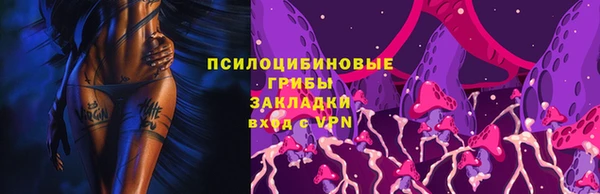 PSILOCYBIN Козельск