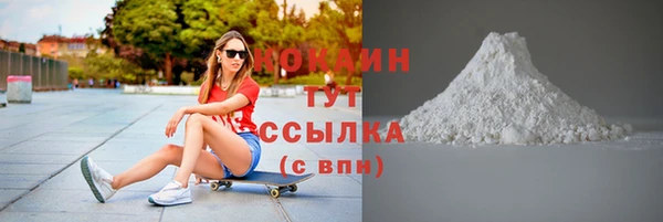 шишки Козловка