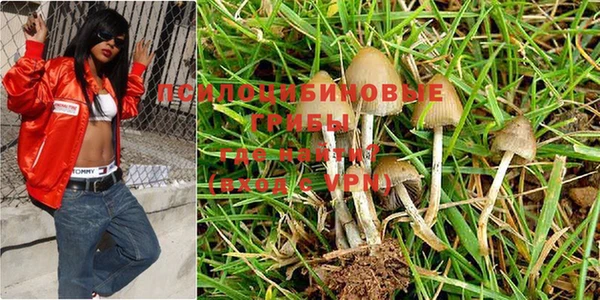 крисы Киреевск