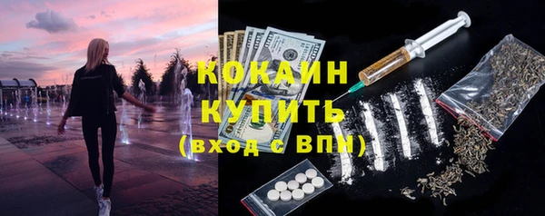 шишки Козловка