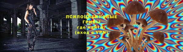 PSILOCYBIN Козельск
