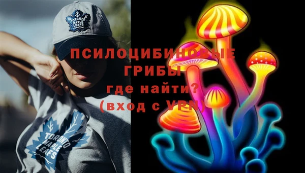 шишки Козловка