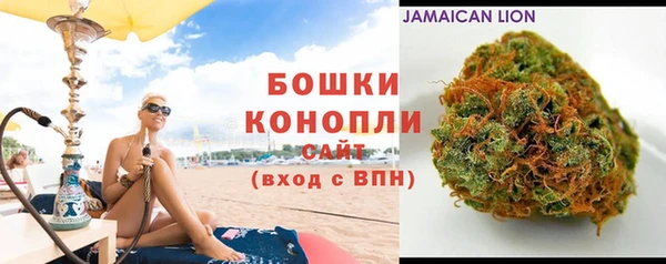 PSILOCYBIN Козельск